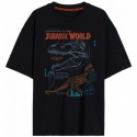 T-SHIRT MĘSKI JW 53 02 235 W