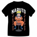 T-SHIRT MĘSKI NAR 53 02 114
